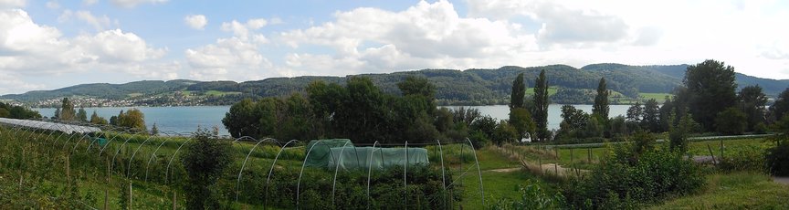 Panorama kurz vor Kreuzlingen