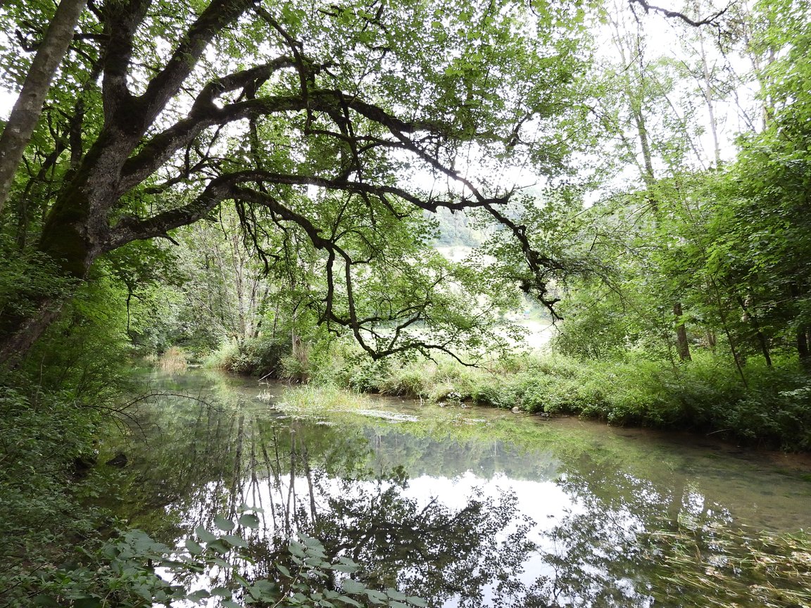 Albaufstieg Neidlingen