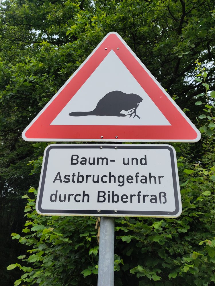 Warnschild Biberfraß