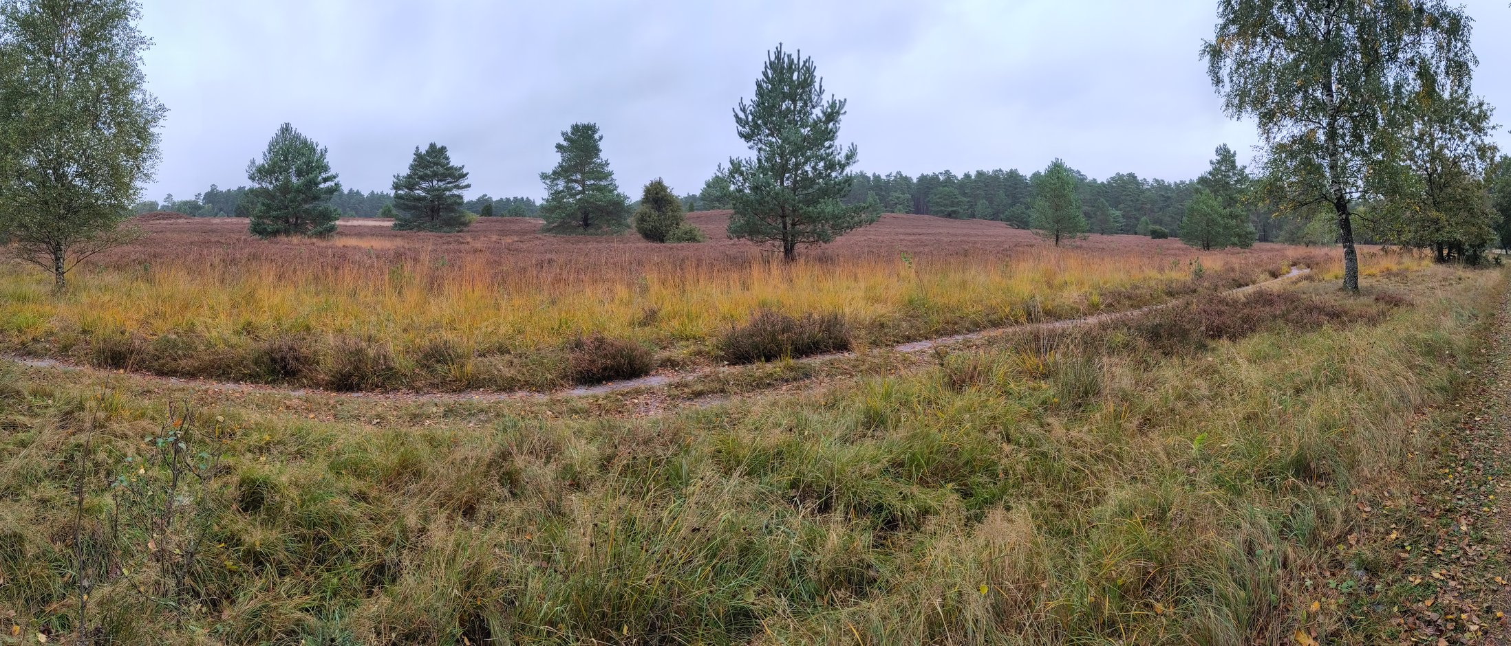 Panorama Lüneburger Heide